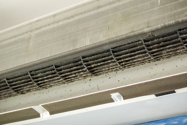 Best Best Air Duct Cleaning Company  in Mesa, AZ